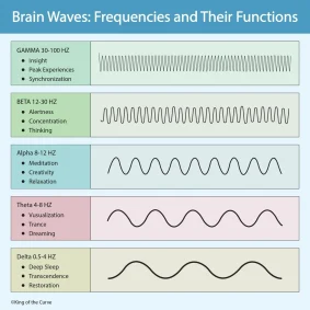نرم‌افزار پردازش سیگنال مغزی (EEG Signal Processing)