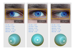 Gaze Estimation و تخمین جهت نگاه با هوش مصنوعی