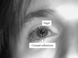 pupil center corneal reflection pccr